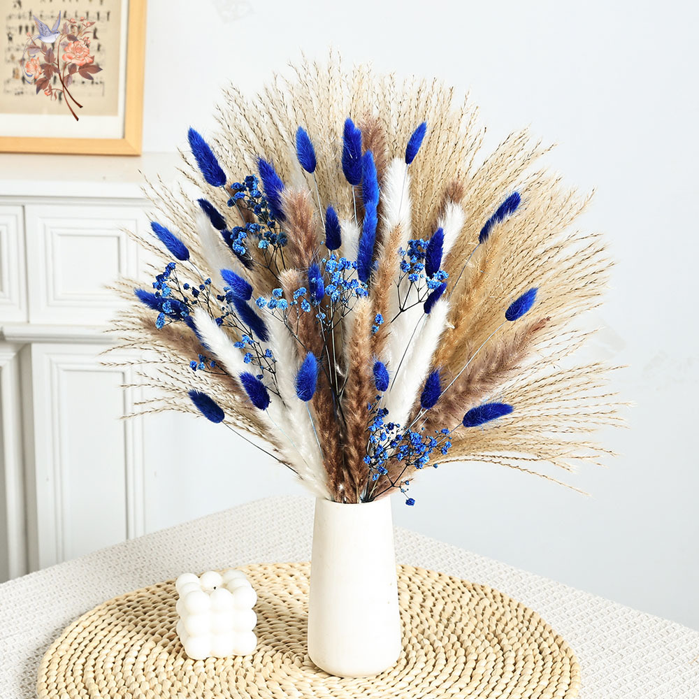 70 Stem Blue Fluffly Rabbit Ta - Pampas Grass Decor review and price