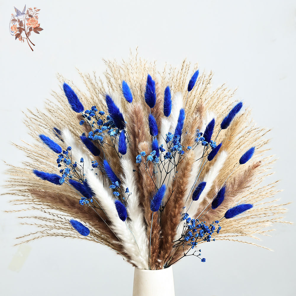 70 Stem Blue Fluffly Rabbit Ta - Pampas Grass Decor review and price
