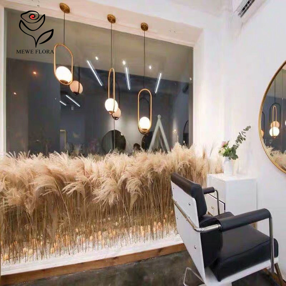 200PCS Natural Dried Fluffy Re - Pampas Grass Decor review and price