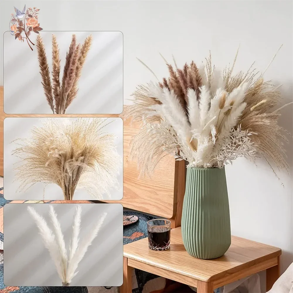 88pcs Natural Fluffy Dried Pam - Pampas Grass Decor review and price