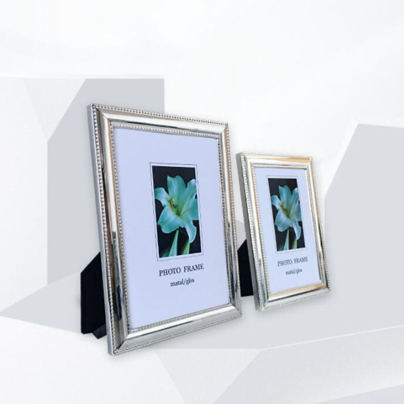 European Style Metal Silver Co - Bamboo Photo Frame review and price
