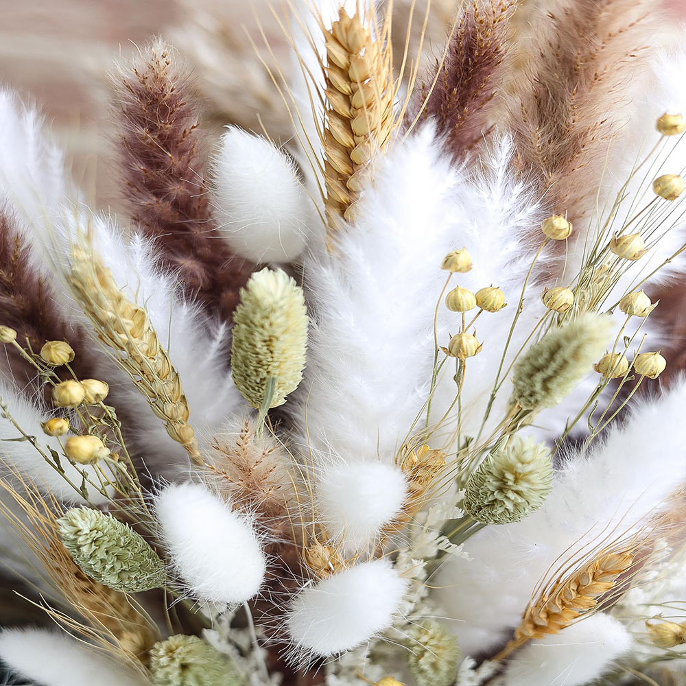 100pcs Dried Pampas Grass Bouq - Pampas Grass Decor review and price
