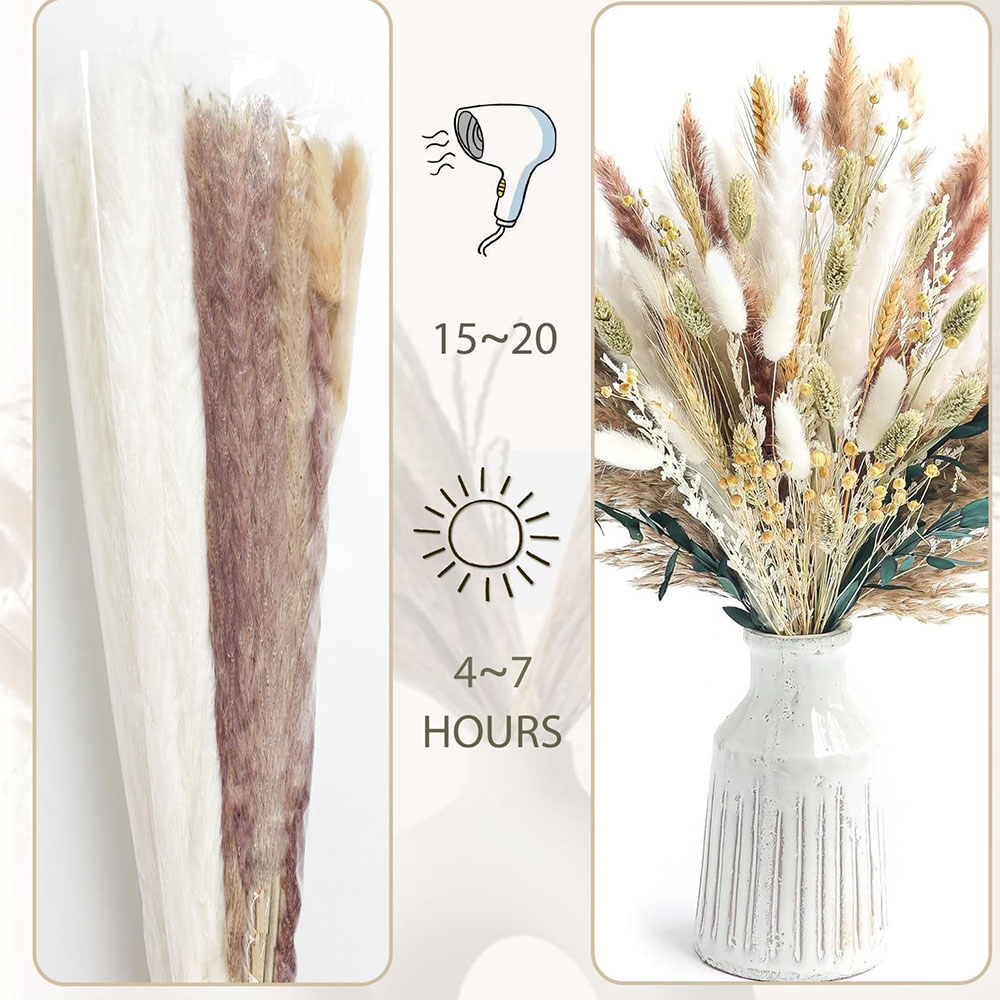 100pcs Dried Pampas Grass Bouq - Pampas Grass Decor review and price