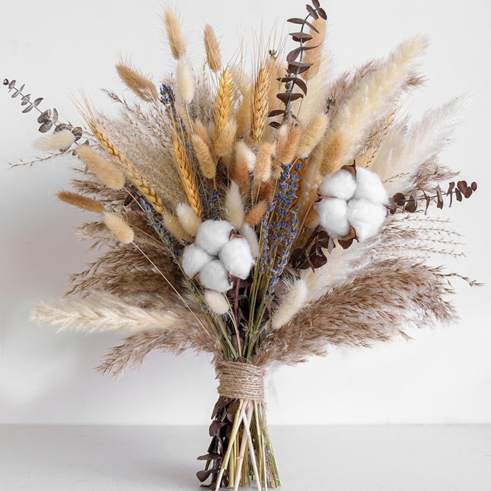 80Pieces Natural Dried Flowers - Pampas Grass Decor review and price