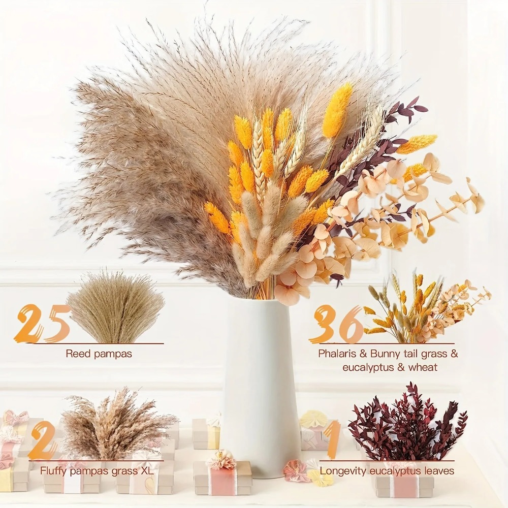 80Pieces Natural Dried Flowers - Pampas Grass Decor review and price