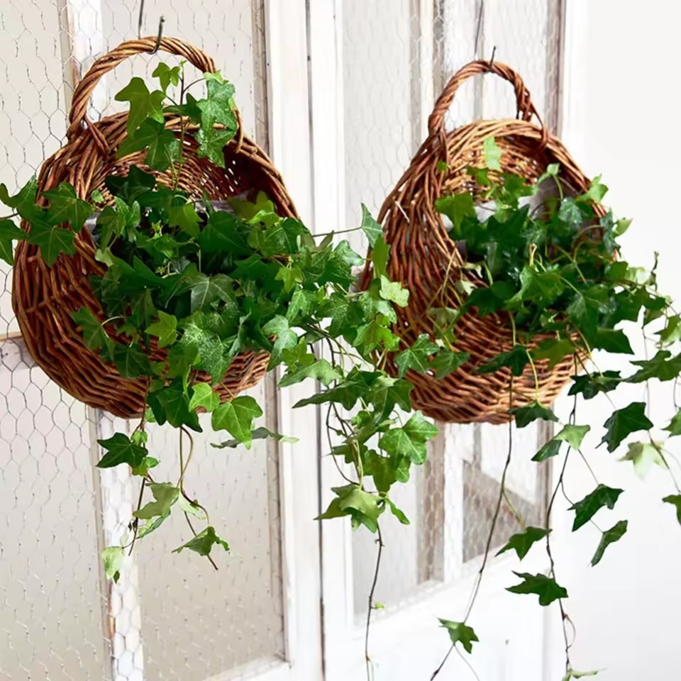 Hand Made Wicker Rattan Flower - Rattan Plant Basket review and price