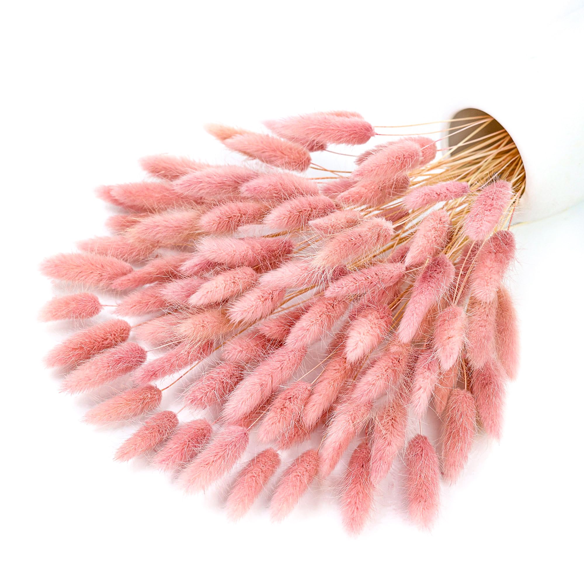 120 Stem Pink Dried Pampas Bun - Pampas Grass Decor review and price