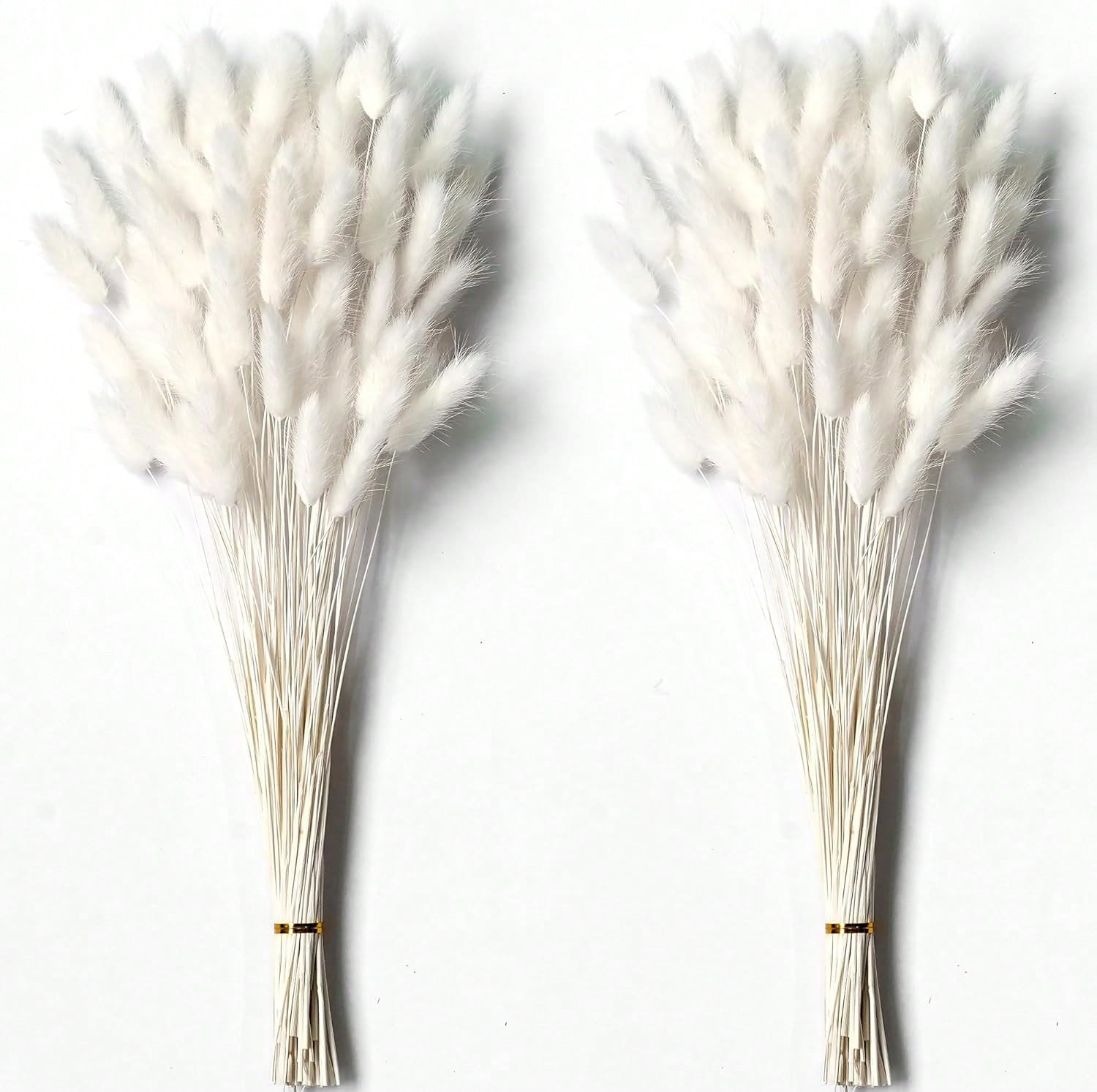 120 PCS Dried Pampas Grass Dec - Pampas Grass Decor review and price