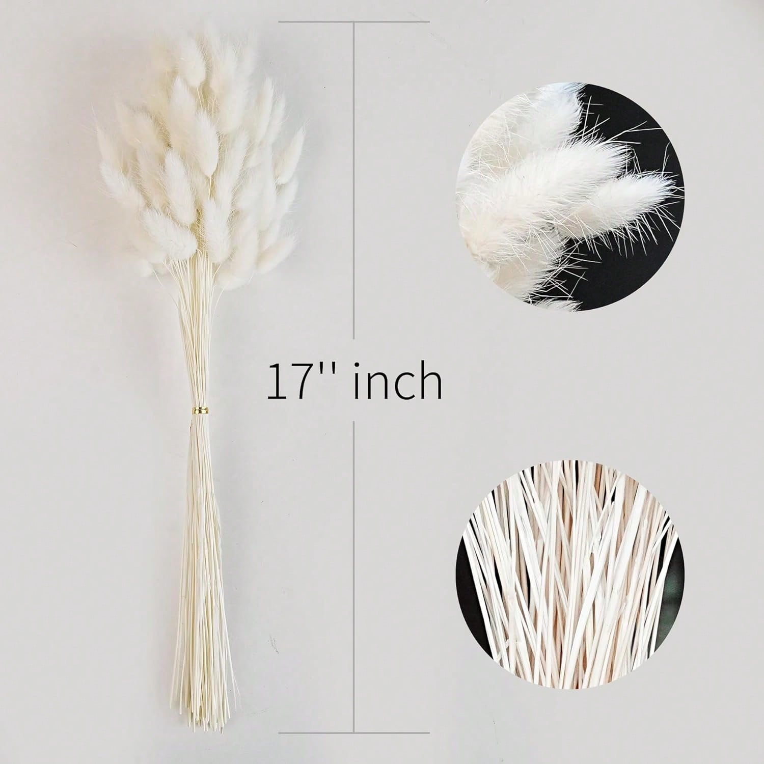 120 PCS Dried Pampas Grass Dec - Pampas Grass Decor review and price