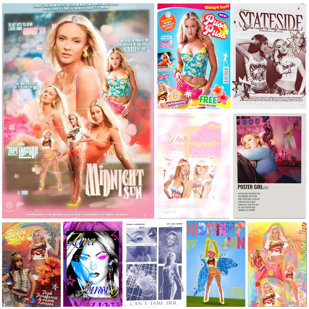Singer Z-Zara L-Larsson Poster - Home Decor Za review and price