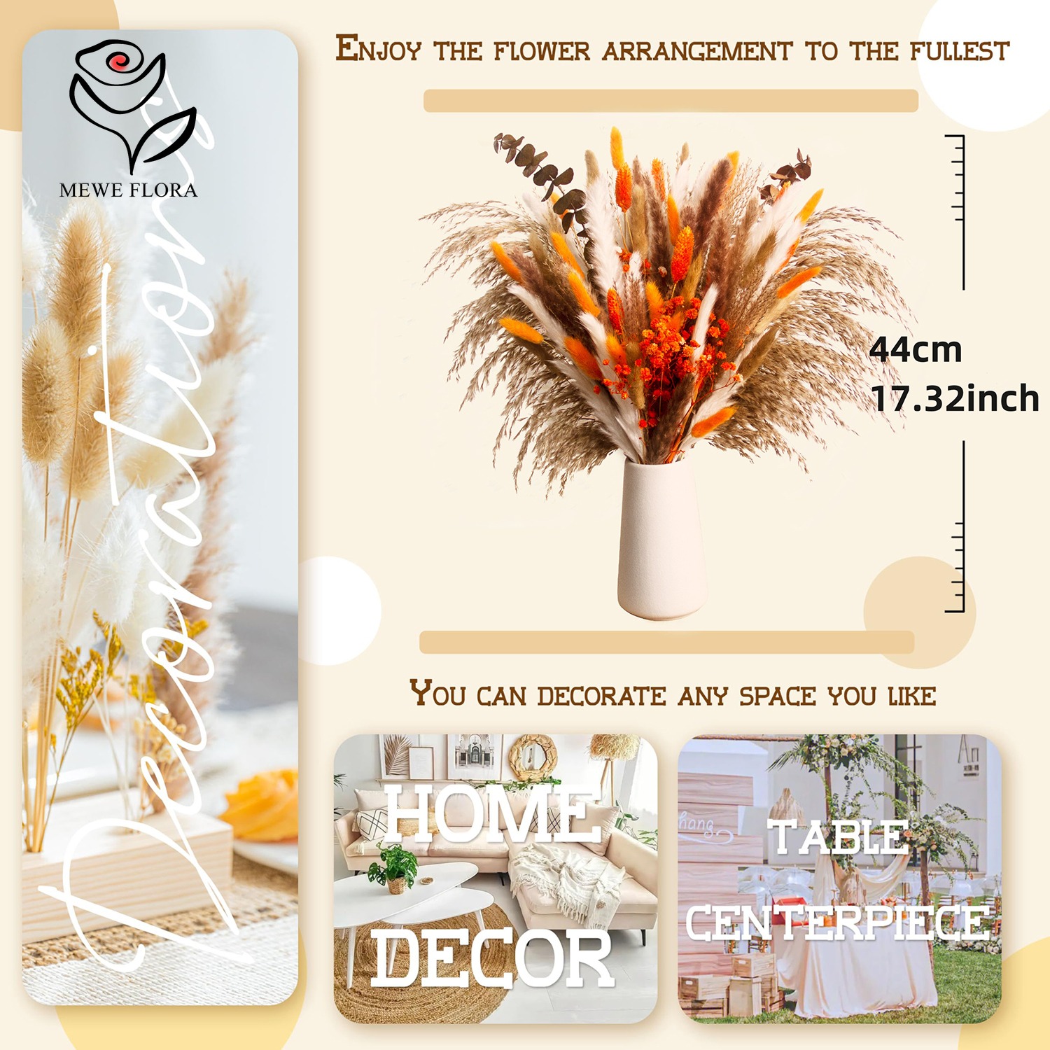 Dried Natural Flowers Pampas B - Pampas Grass Decor review and price