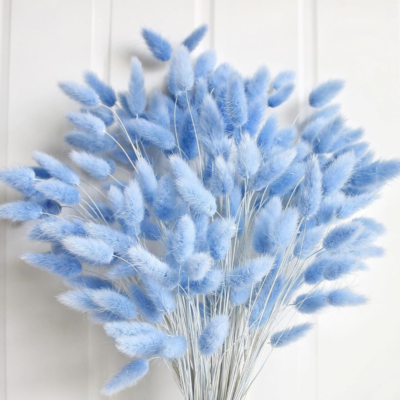 100PCS Blue Hare's-tail Grass  - Pampas Grass Decor review and price