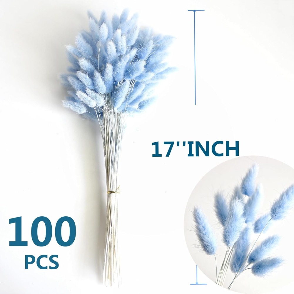 100PCS Blue Hare's-tail Grass  - Pampas Grass Decor review and price