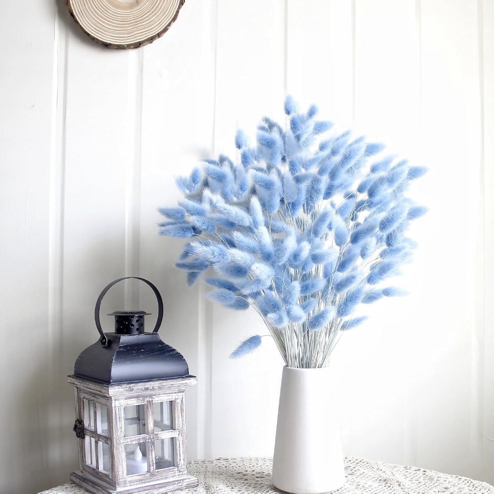 100PCS Blue Hare's-tail Grass  - Pampas Grass Decor review and price
