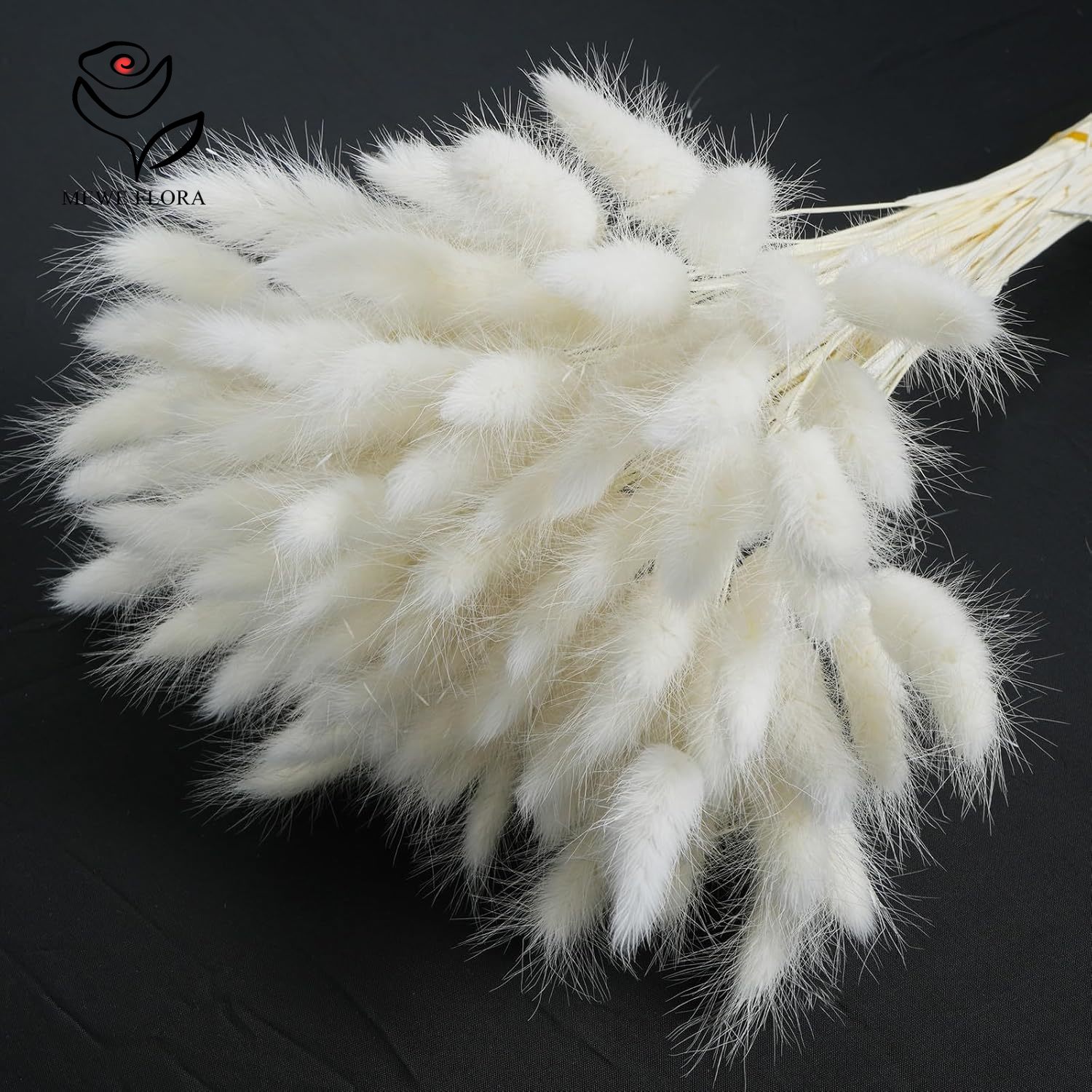 150PCS White Natural Fluffy Ra - Pampas Grass Decor review and price