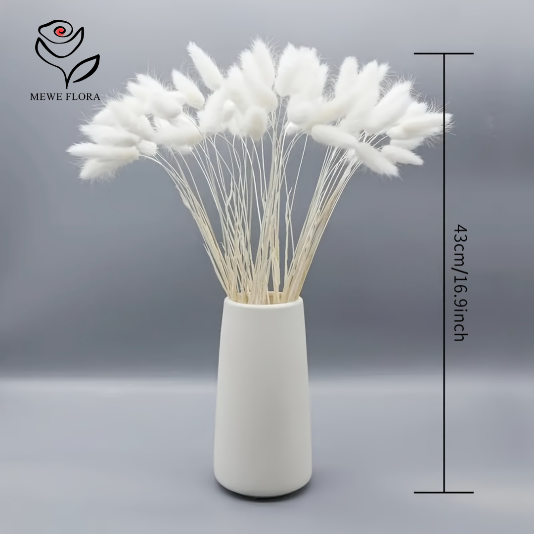 150PCS White Natural Fluffy Ra - Pampas Grass Decor review and price